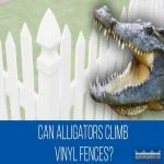 Can Alligators Climb Vinyl Fence?