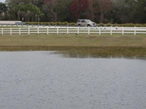 Florida-Vinyl-Ranch-Fence