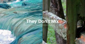 vinyl fences in coastal climates