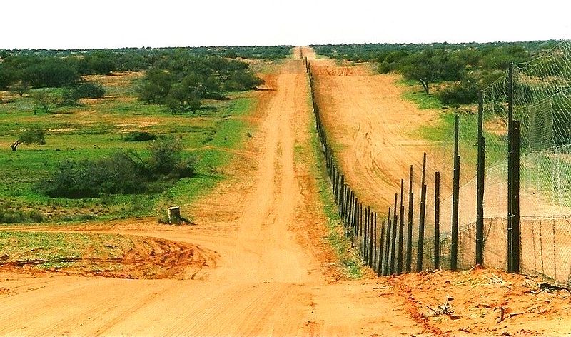 800px-Sturt_National_Park3_-_Dingo_Fence_-_CameronsCorner
